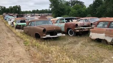 unveiling-the-world-of-california’s-auto-salvage-yards