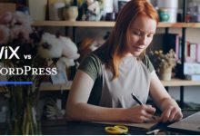 charlotte’s-wordpress-developers-are-fixing-what-wix-and-squarespace-can’t
